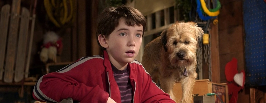 Лохматый спецназ